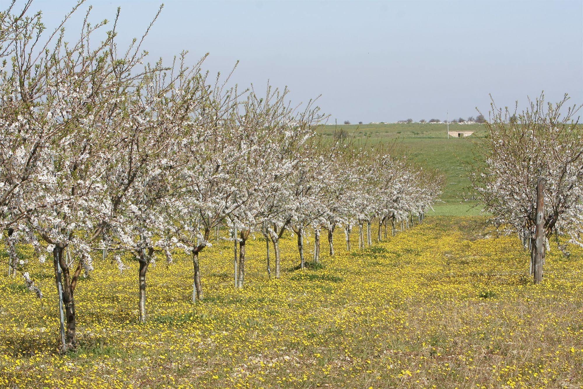 Masseria Torre Di Nebbia Кастел дел Монте Екстериор снимка